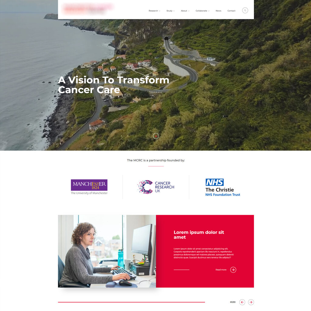 WordPress Perspective 3